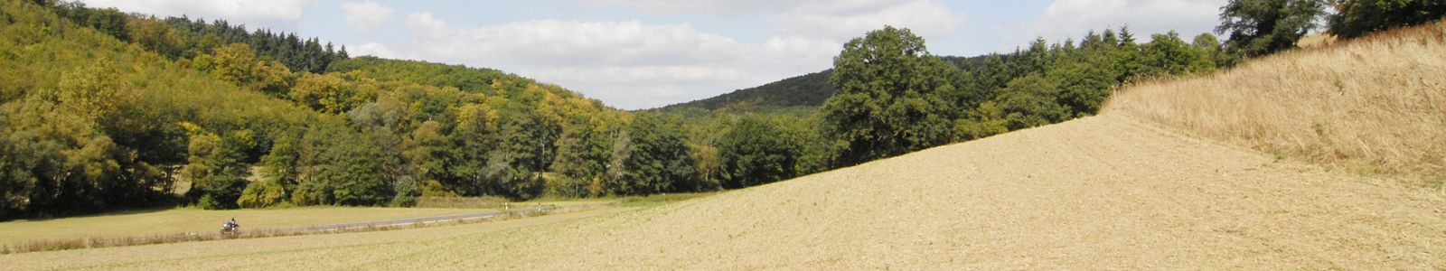 Landschaft im Vordergrund abgerntetes Getreidefeld, dahinter Wald